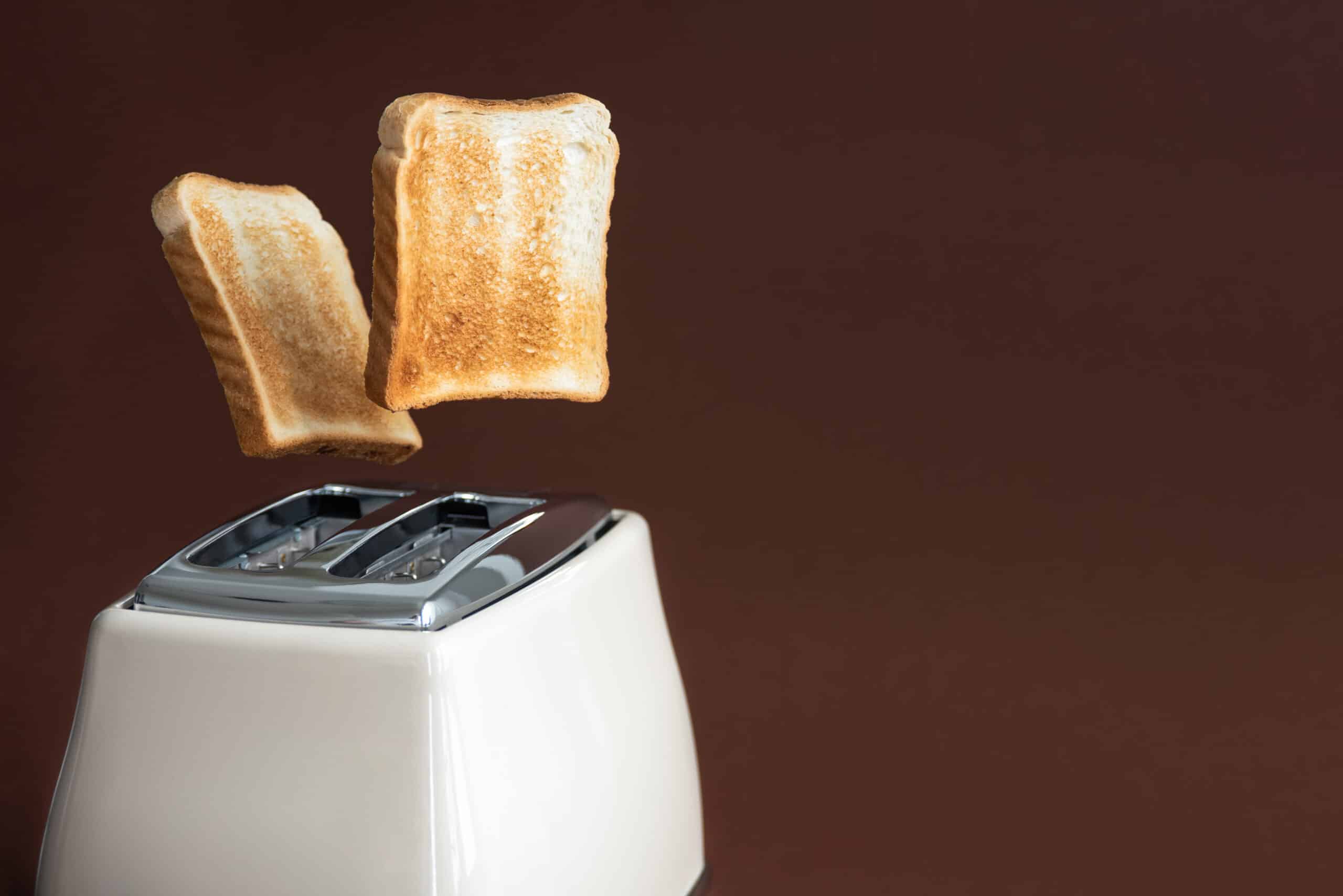 The smartest Toaster in the world today was made in 1948 | Entytle